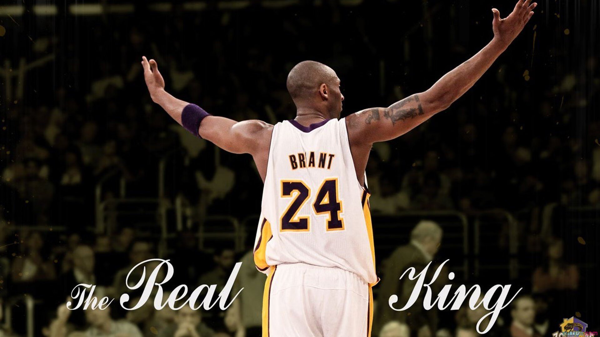 中超联赛本轮出现五粒世界波,中超第5轮