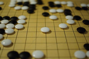 九游APP-世界围棋赛青年选手战术成熟引热议，2020世界围棋